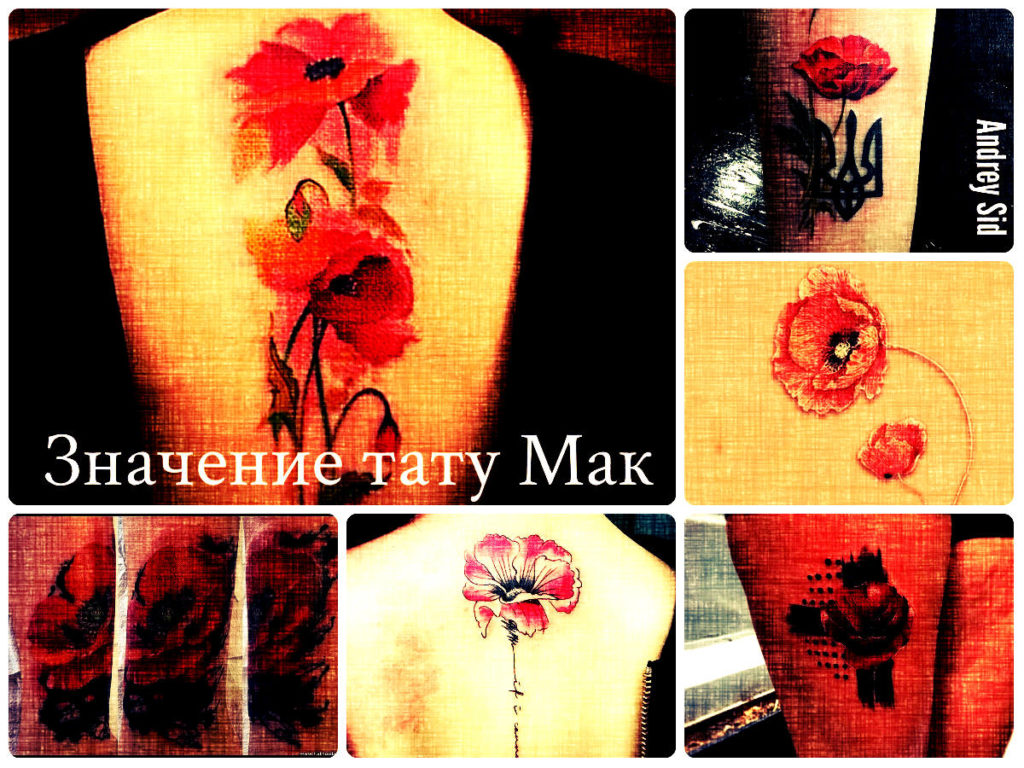 Значение тату Мак - коллекция фотографий готовых рисунков татуировки на теле