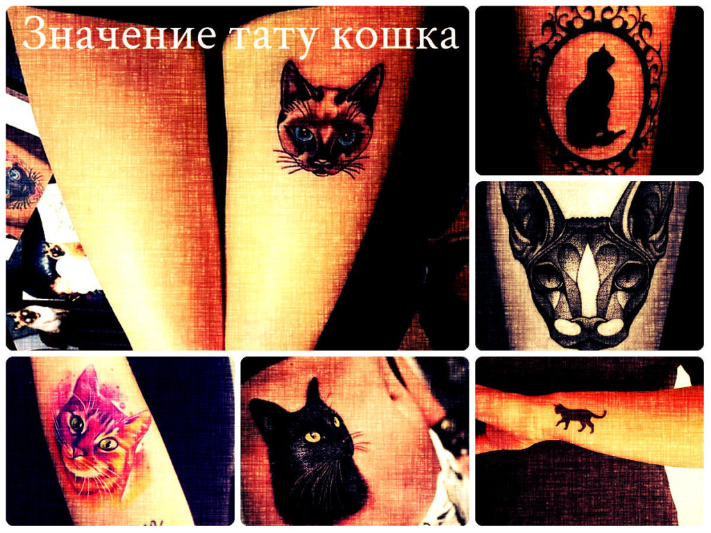 Значение тату кошка - коллекция фотографий рисунков готовых татуировок на теле