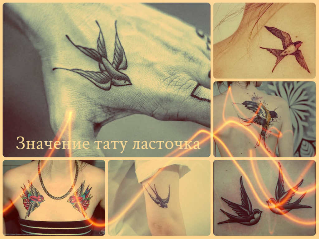 Значение тату ласточка - примеры интересных рисунков татуировки на фото