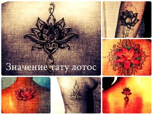 Значение тату лотос - фото примеры готовых татуировок на фото - рисунки