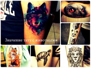 Значение тату с животными - фото примеры интересных рисунков тату
