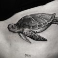 Значение татуировки «Черепаха» - фото