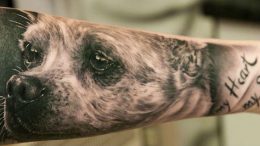 Татуировка собака и ее значение - фото