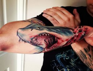фото тату Акула от 15.11.2017 №001 - Shark Tattoo - tattoo-photo.ru