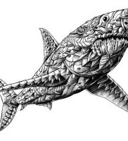 фото тату Акула от 15.11.2017 №002 — Shark Tattoo — tattoo-photo.ru