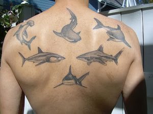фото тату Акула от 15.11.2017 №003 - Shark Tattoo - tattoo-photo.ru