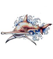 фото тату Акула от 15.11.2017 №004 — Shark Tattoo — tattoo-photo.ru