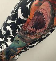 фото тату Акула от 15.11.2017 №005 — Shark Tattoo — tattoo-photo.ru