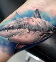 фото тату Акула от 15.11.2017 №008 — Shark Tattoo — tattoo-photo.ru