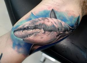 фото тату Акула от 15.11.2017 №008 - Shark Tattoo - tattoo-photo.ru