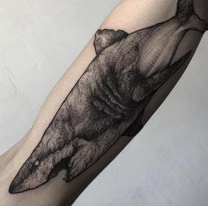 фото тату Акула от 15.11.2017 №010 - Shark Tattoo - tattoo-photo.ru