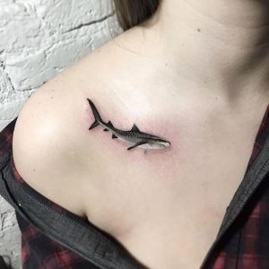 фото тату Акула от 15.11.2017 №014 - Shark Tattoo - tattoo-photo.ru