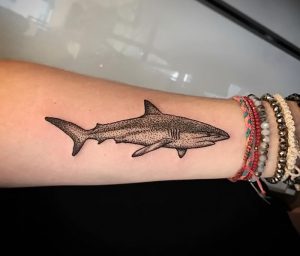 фото тату Акула от 15.11.2017 №015 - Shark Tattoo - tattoo-photo.ru