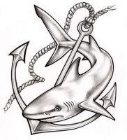 фото тату Акула от 15.11.2017 №017 — Shark Tattoo — tattoo-photo.ru