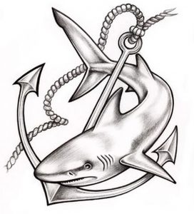 фото тату Акула от 15.11.2017 №017 - Shark Tattoo - tattoo-photo.ru