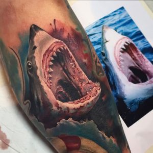 фото тату Акула от 15.11.2017 №026 - Shark Tattoo - tattoo-photo.ru