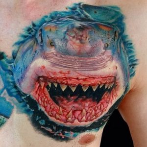 фото тату Акула от 15.11.2017 №034 - Shark Tattoo - tattoo-photo.ru