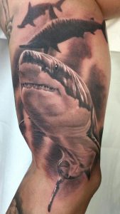 фото тату Акула от 15.11.2017 №037 - Shark Tattoo - tattoo-photo.ru