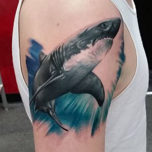 фото тату Акула от 15.11.2017 №038 - Shark Tattoo - tattoo-photo.ru