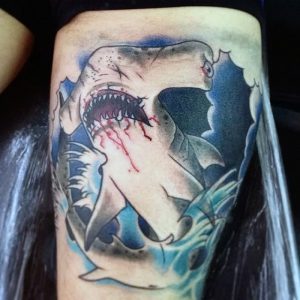 фото тату Акула от 15.11.2017 №048 - Shark Tattoo - tattoo-photo.ru