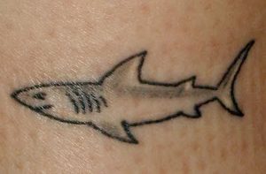 фото тату Акула от 15.11.2017 №053 - Shark Tattoo - tattoo-photo.ru