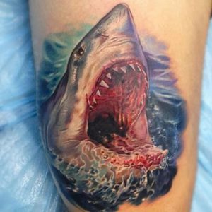 фото тату Акула от 15.11.2017 №054 - Shark Tattoo - tattoo-photo.ru