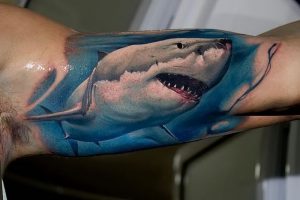 фото тату Акула от 15.11.2017 №056 - Shark Tattoo - tattoo-photo.ru