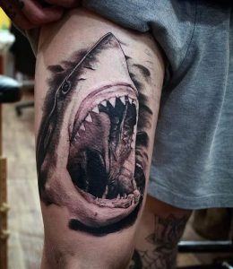 фото тату Акула от 15.11.2017 №066 - Shark Tattoo - tattoo-photo.ru