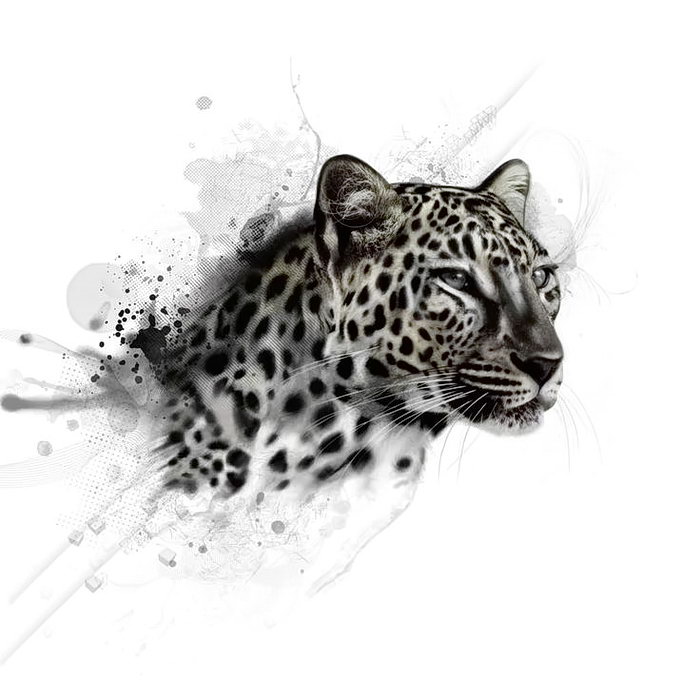Леопард эскиз