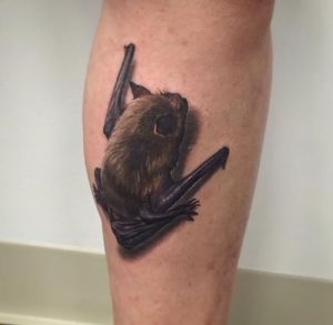 фото тату Летучая мышь от 19.11.2017 №045 - tattoo Bat - tattoo-photo.ru