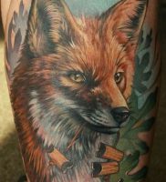 фото тату Лиса от 18.11.2017 №008 — Fox tattoo — tattoo-photo.ru