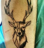 фото тату Олень от 15.11.2017 №002 — tattoo Deer — tattoo-photo.ru