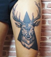 фото тату Олень от 15.11.2017 №004 — tattoo Deer — tattoo-photo.ru