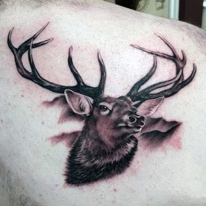 фото тату Олень от 15.11.2017 №034 - tattoo Deer - tattoo-photo.ru