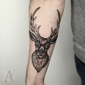 фото тату Олень от 15.11.2017 №069 - tattoo Deer - tattoo-photo.ru