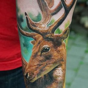 фото тату Олень от 15.11.2017 №086 - tattoo Deer - tattoo-photo.ru