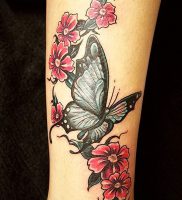 фото тату бабочка от 14.11.2017 №003 — butterfly tattoos — tattoo-photo.ru