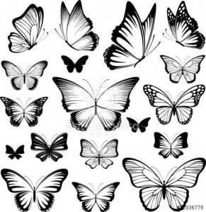 фото тату бабочка от 14.11.2017 №022 - butterfly tattoos - tattoo-photo.ru