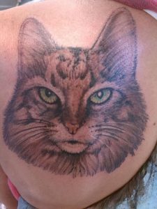фото тату кот от 19.11.2017 №005 - cat tattoo - tattoo-photo.ru