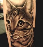 фото тату кошка от 19.11.2017 №006 — cat tattoo — tattoo-photo.ru