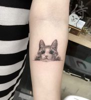 фото тату кошка от 19.11.2017 №011 — cat tattoo — tattoo-photo.ru