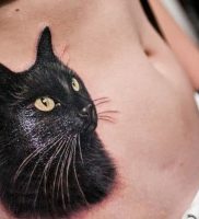 фото тату кошка от 19.11.2017 №013 — cat tattoo — tattoo-photo.ru