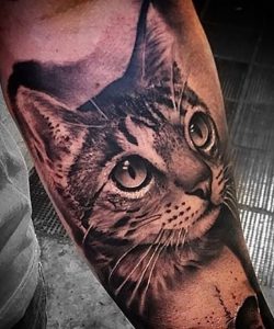 фото тату кошка от 19.11.2017 №067 - cat tattoo - tattoo-photo.ru