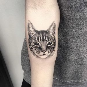 фото тату кошка от 19.11.2017 №088 - cat tattoo - tattoo-photo.ru