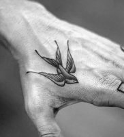 фото тату ласточка от 18.11.2017 №001 — tattoo swallow — tattoo-photo.ru