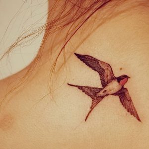 фото тату ласточка от 18.11.2017 №002 - tattoo swallow - tattoo-photo.ru