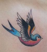 фото тату ласточка от 18.11.2017 №003 — tattoo swallow — tattoo-photo.ru