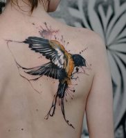 фото тату ласточка от 18.11.2017 №004 — tattoo swallow — tattoo-photo.ru