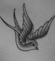 фото тату ласточка от 18.11.2017 №011 — tattoo swallow — tattoo-photo.ru