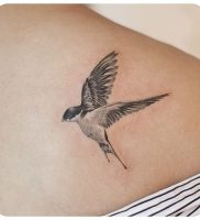 фото тату ласточка от 18.11.2017 №015 — tattoo swallow — tattoo-photo.ru